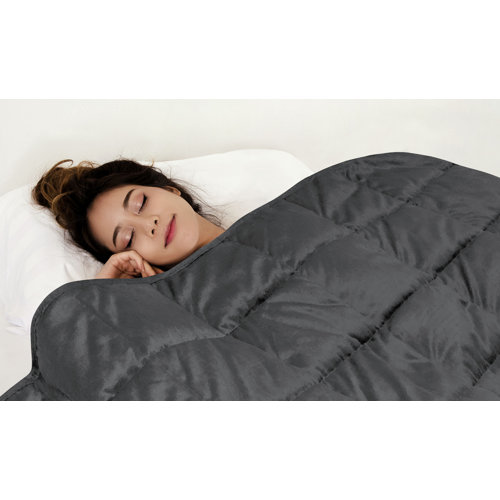 Bell + Howell Weighted Throw Blanket & Reviews Wayfair